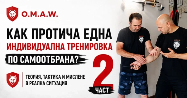 Как протича една индивидуална тренировка по самоотбрана Част 2 Теория, тактика и мислене в реална ситуация