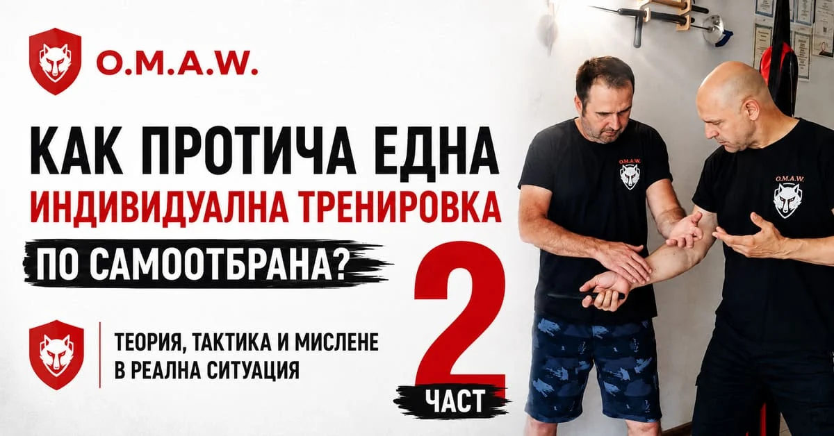 Как протича една индивидуална тренировка по самоотбрана Част 2 Теория, тактика и мислене в реална ситуация